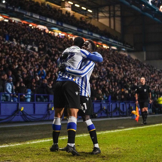 Owls ahead twice but fail to hold on for three points