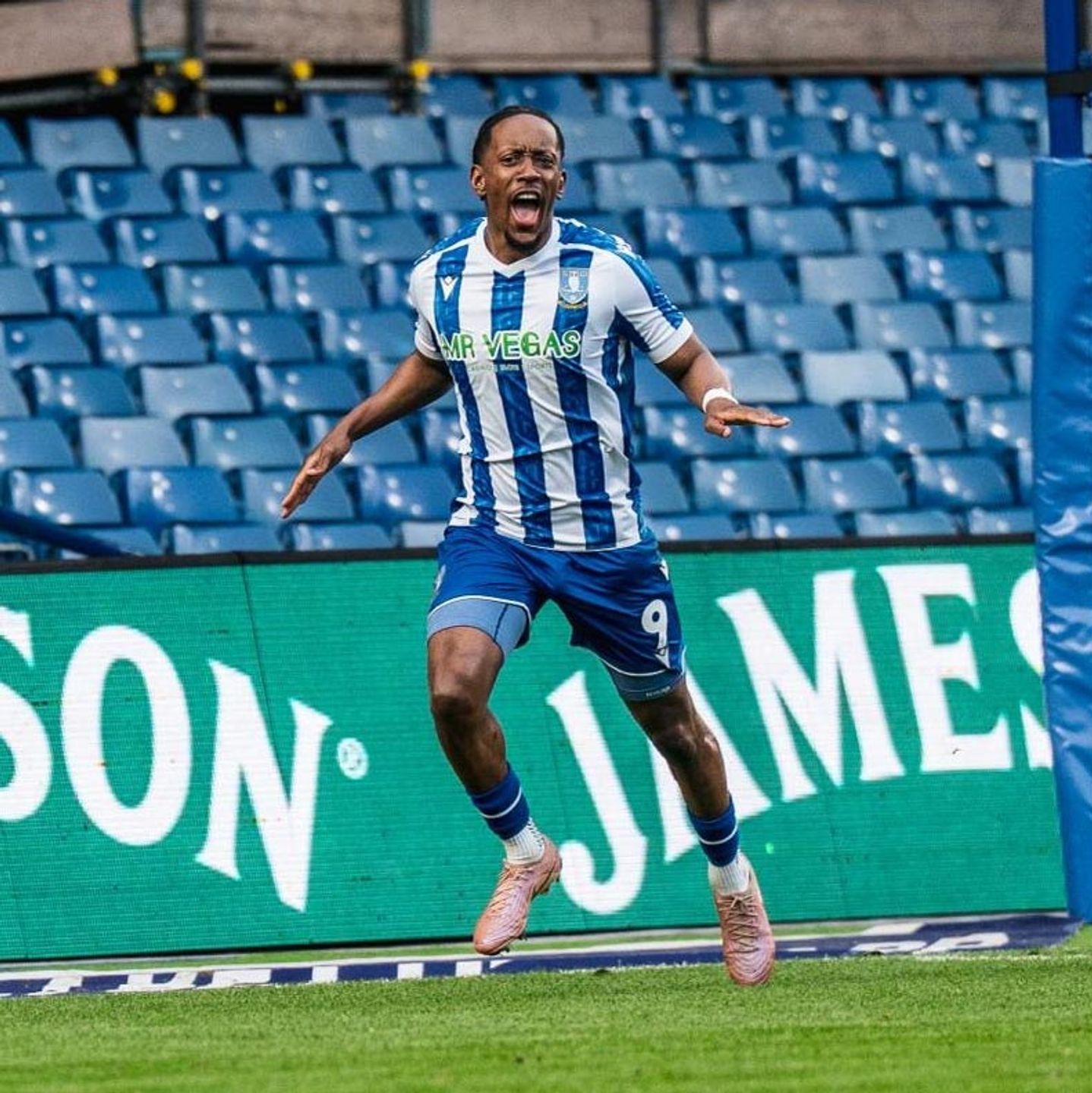 Owls end goal drought but still suffer defeat