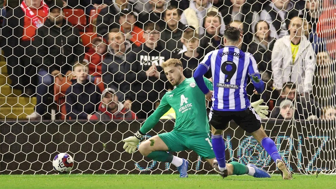 Owls off the top as unbeaten run ends in defeat at Barnsley