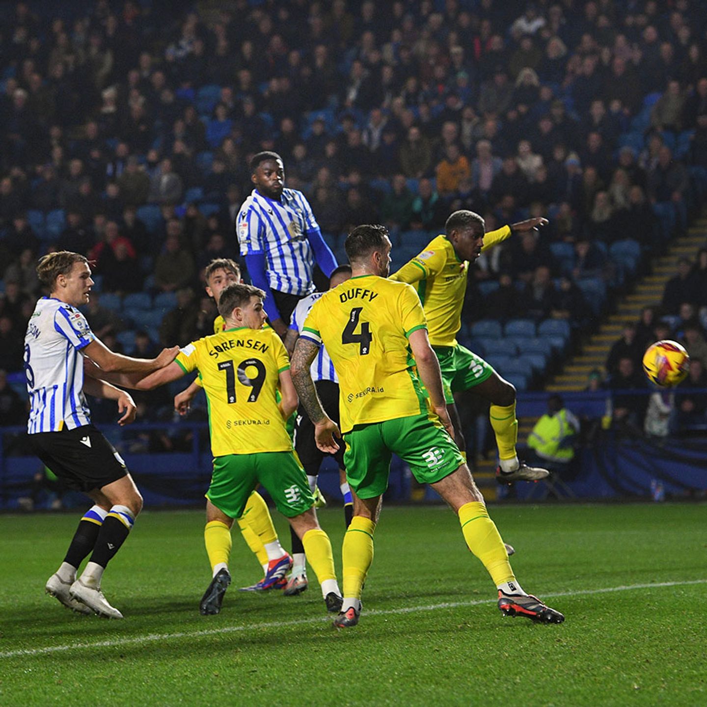 ‘Great reaction’ says Rohl as Owls take points