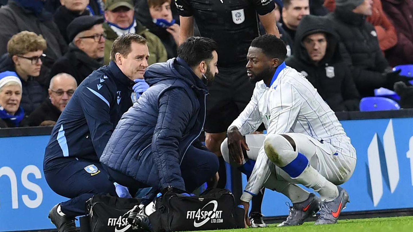 Owls wait on injury doubts ahead of Hull clash