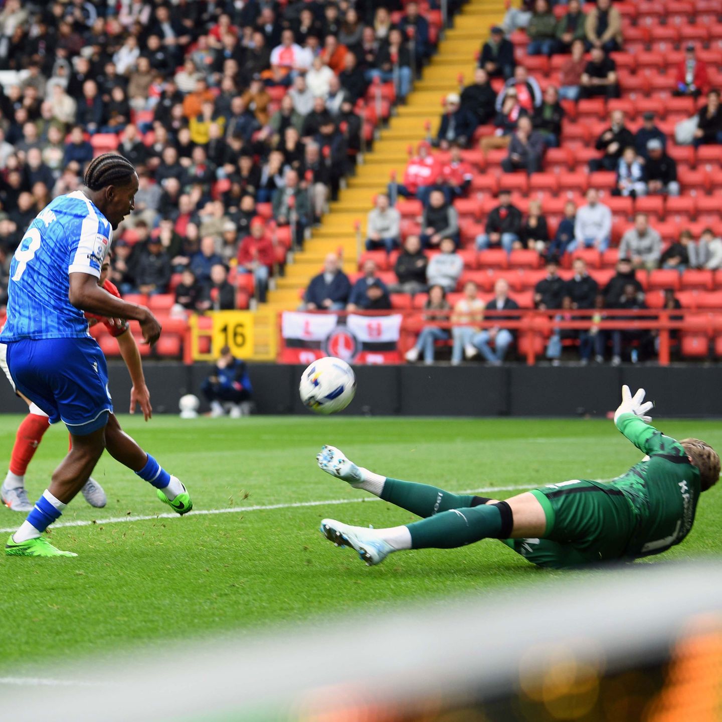 Owls drop to bottom despite second-half rally