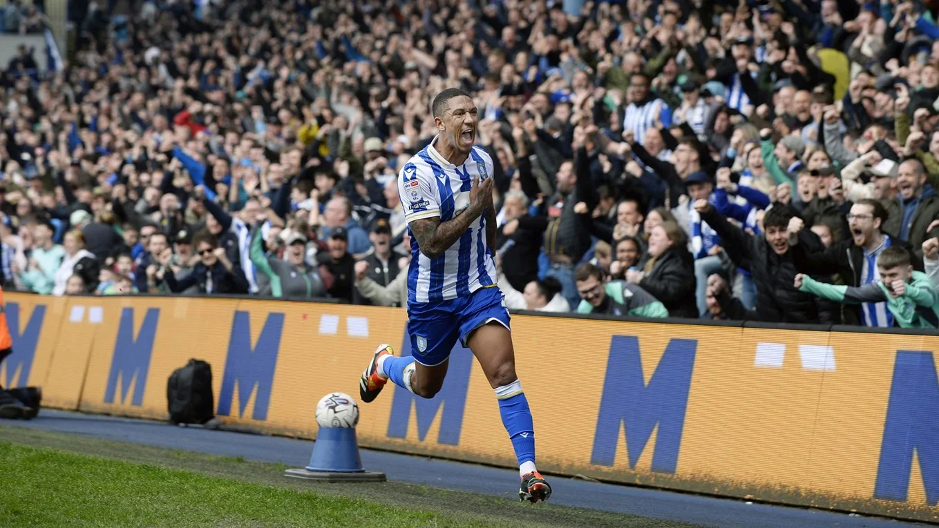 Wednesday fail to hold onto lead and have to settle for point