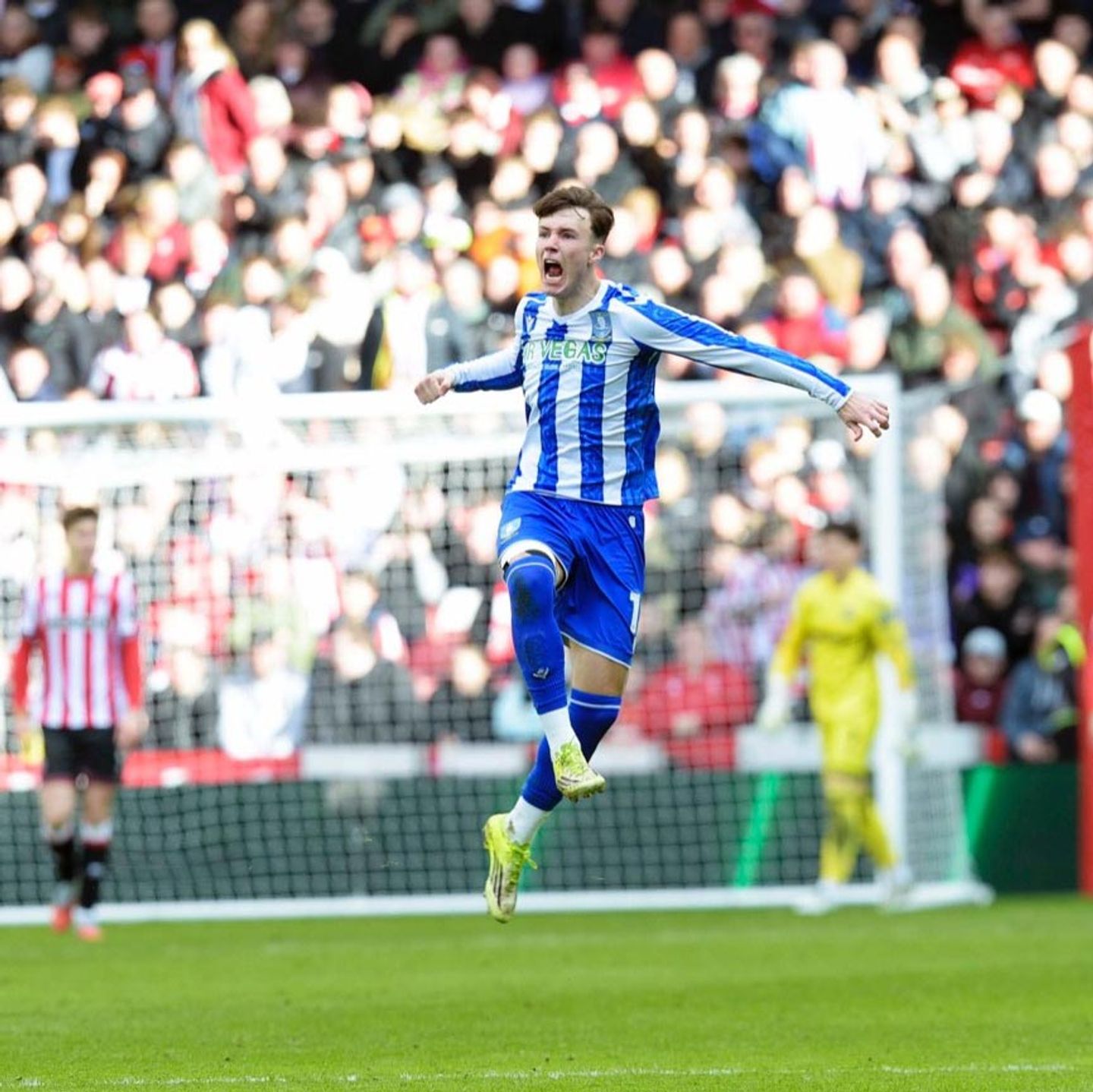 Owls relegated despite spirited fightback