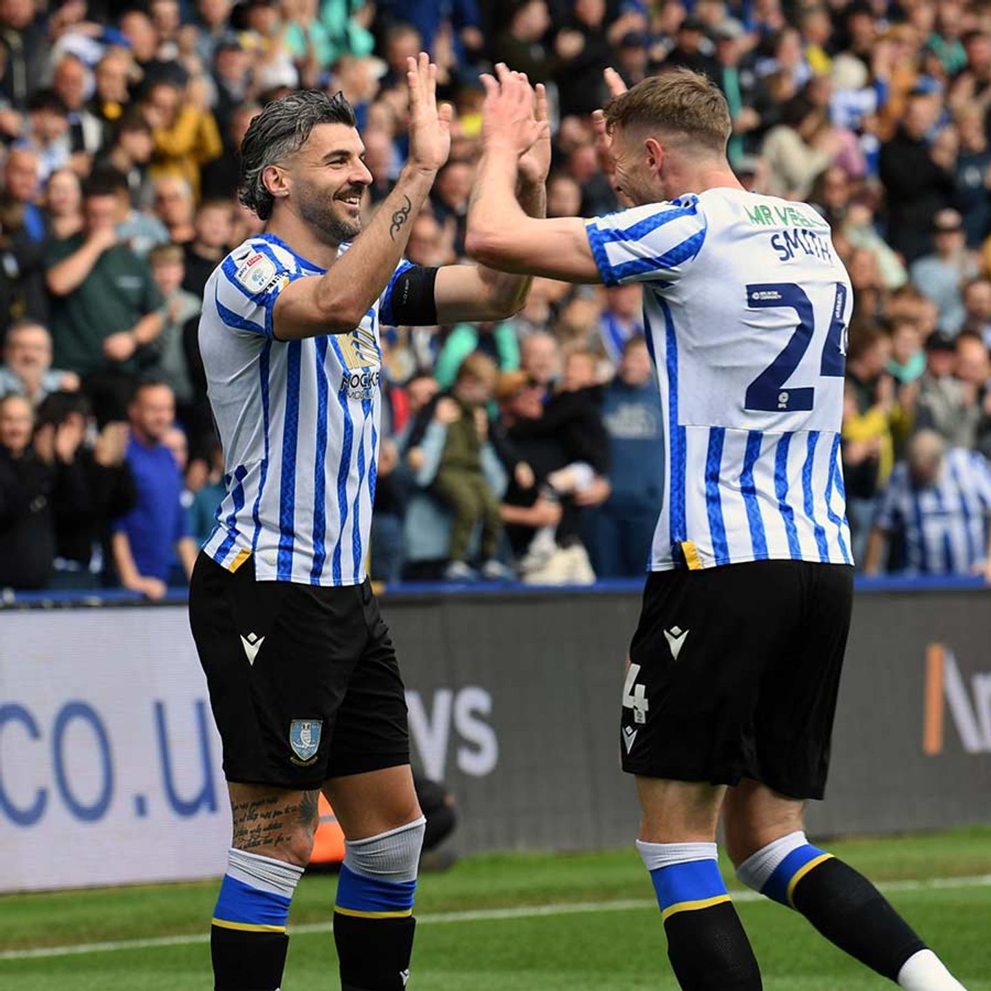 Owls miss chances and have to settle for point in S6 finale