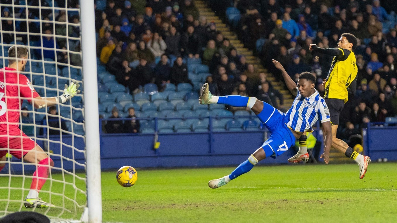 Owls have to settle for point in goalless draw